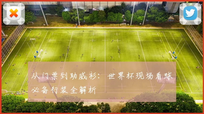 从门票到助威衫:世界杯现场看球必备行装全解析