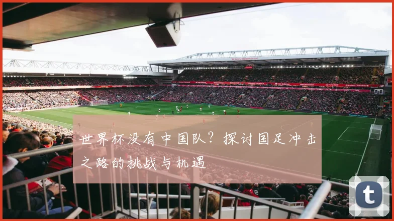 世界杯没有中国队？探讨国足冲击之路的挑战与机遇