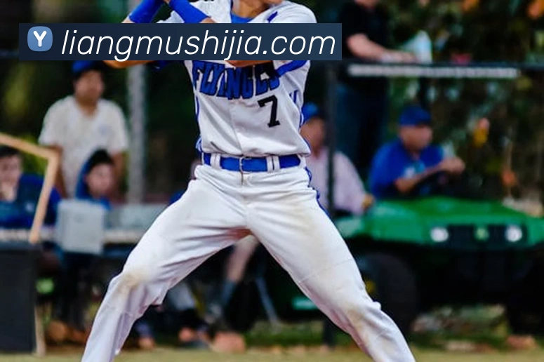 必一体育sport官网域名注册信息查询APP 封面图